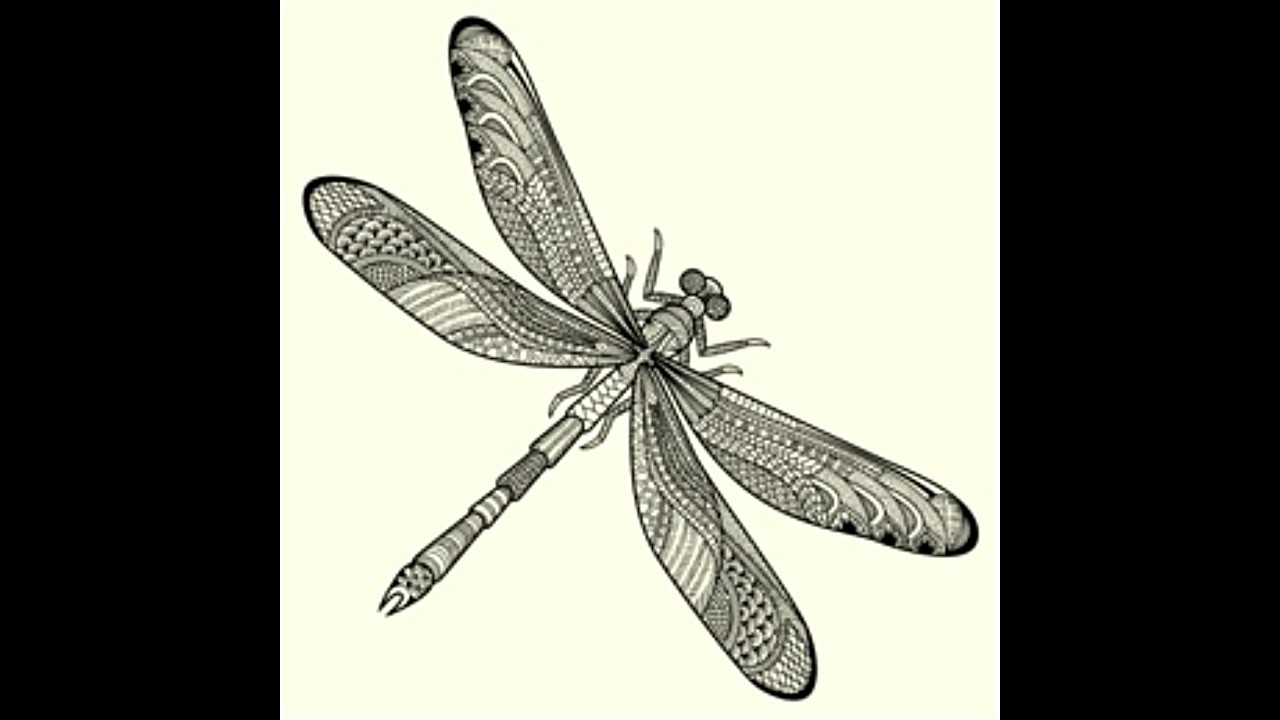 Blue dragonfly symbolism